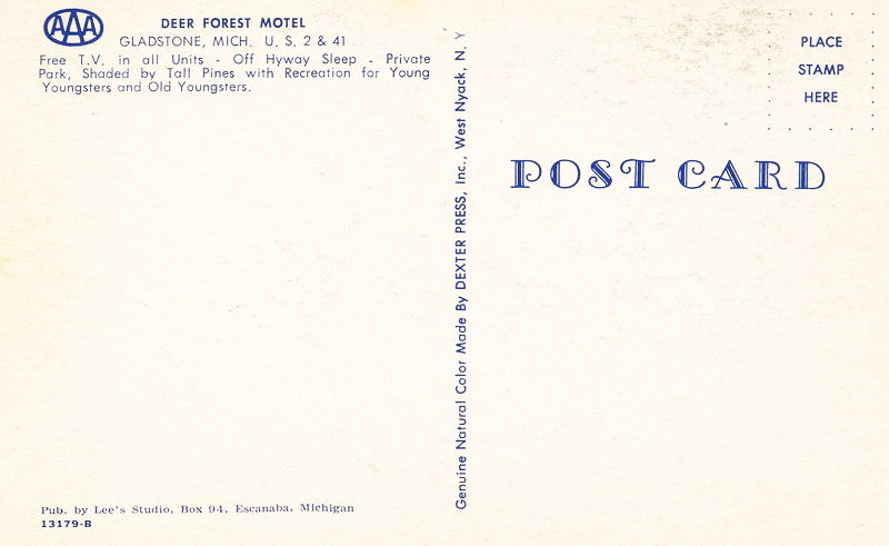 Deer Forest Motel (Sleepy Hollow Motel) - Vintage Postcard